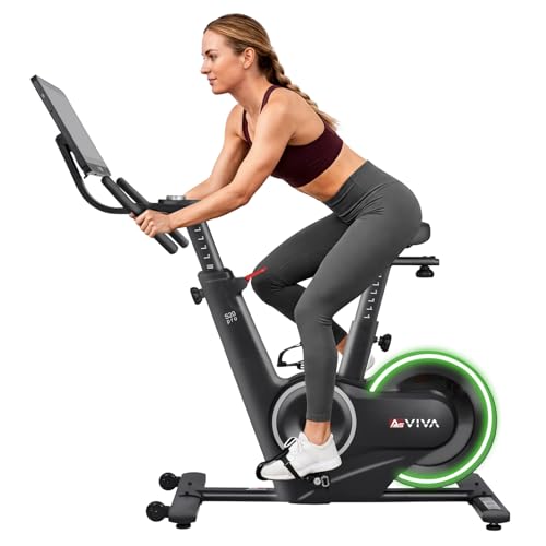 AsVIVA S20 Speedbike - Indoor Cycle Heimtrainer, 21,5" TFT Touchdisplay, Bluetooth-App (Kinomap, Zwift), 20 kg Schwungmasse, leise Magnetbremse, LED