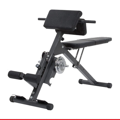 Sunny Health & Fitness Exercise Bikes, Magnetic Recumbent Bike + Unisex's Station-SF-BH620062 Hyperextension Roman Chair with Dip Station, Black, One